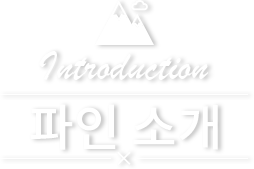 파인소개